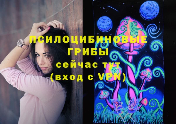 PSILOCYBIN Балабаново