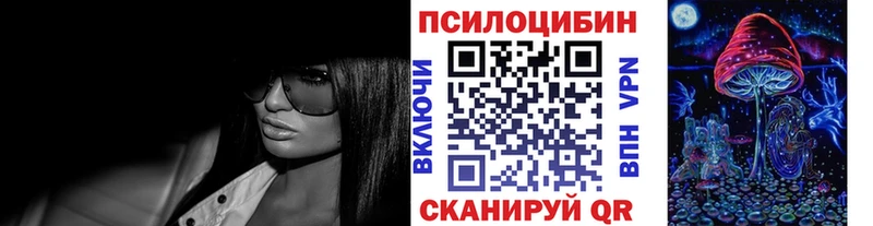 дарнет шоп  Болгар  Псилоцибиновые грибы Cubensis 