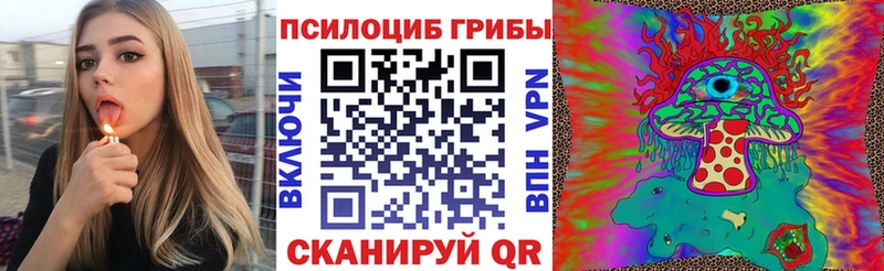 Псилоцибиновые грибы Psilocybe Болгар