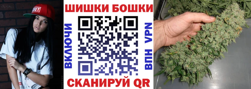 Бошки Шишки семена  Болгар 